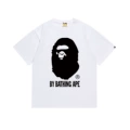 164 white