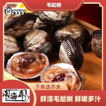 [Fresh Seafood] Fresh Sea Hares, Fresh Seafood Specialties, Shellfish and Seafood, Freshly Available Sea Hares