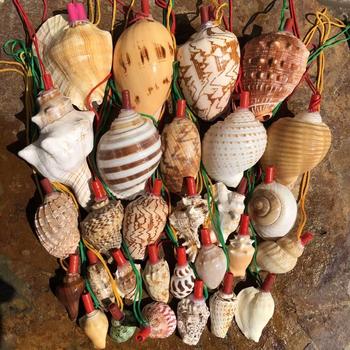 Natural Conch Horn Can Blow the Horn Whistle Shell Whistle Kidsren's Toy Whistle Small Conch Horn Can Blow