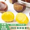 Fresh Raw Chestnut Kernels Peeled Vacuum Raw Chestnuts Artificially Peeled Chestnut Meat Raw Chestnuts Commercial Source Factory
