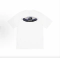 White 8099