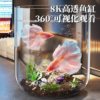 Desktop Fish Tank Household Small Ecological Tank Landscaping Aquatic Plants Goldfish Tank Aquarium Landscaping Pet Transparent Fish Tank