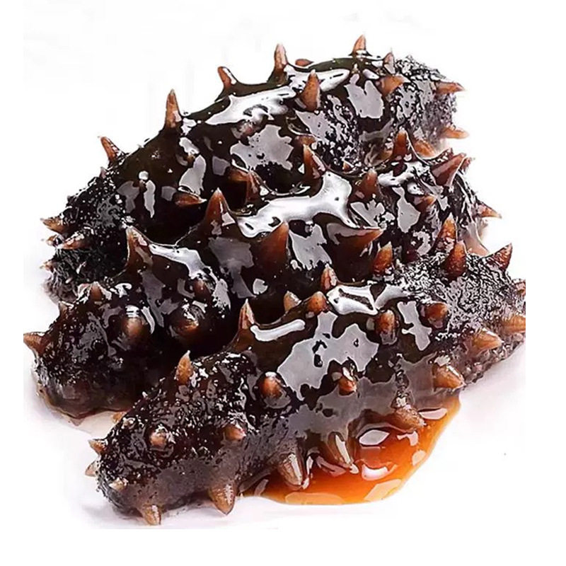 Sea Cucumber Factory Straight Instant Sea Cucumber Non-light Dry Goods Dalian Liao Cucumber Commercial Wholesale Independent Packaging Fresh Sea Cucumber