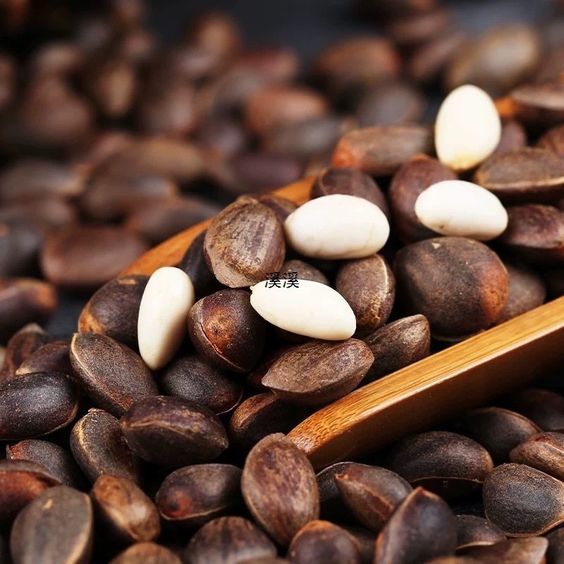 Zs2024 Yunnan Fresh Pine Nuts Original Flavor Alpine Wild Black Pine Nuts Fresh Pine Nuts Bulk Nuts Zero