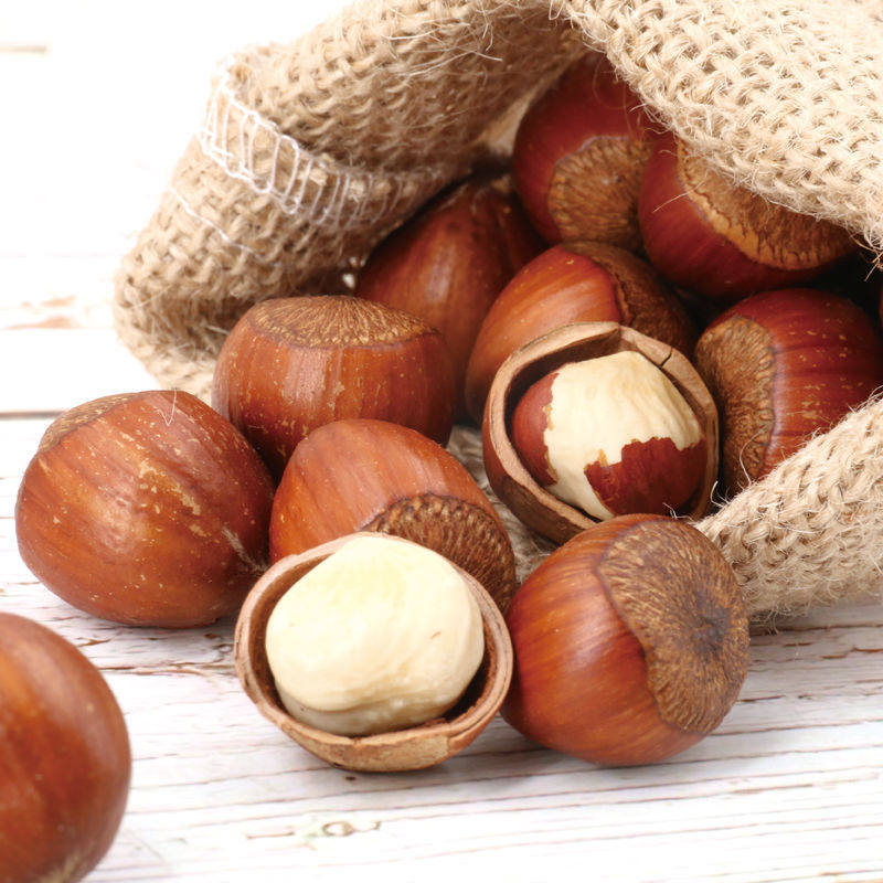 Hazelnuts in Bulk Canned Hand-Peeled Hazelnuts Thin-Skinned Original Flavor Specialty Nuts Roasted Snacks Wholesale