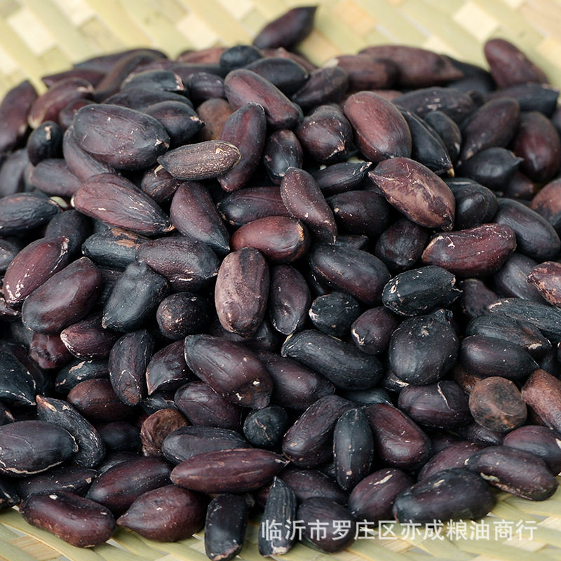 Black Peanut 50kg New Shelled Purple Peanut