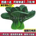 seller product image