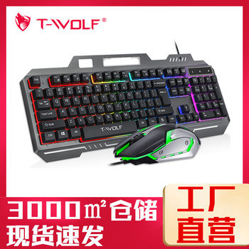 T-Wolf Thunder Wolf Tf600 Keyboard and Mouse Set Wired USB Luminous Keyboard Iron Plate Steel Plate T16 Keyboard