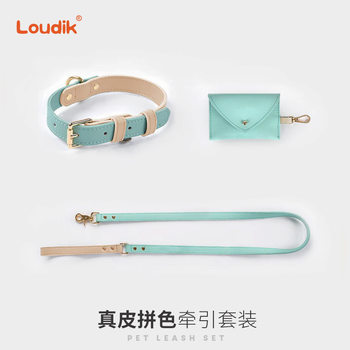 Wholesale Popular Genuine Leather Pet Collar and Leash Set for Walking Dogs, Suitable for Small and Medium-Sized Dogs, Cross-Border Dego