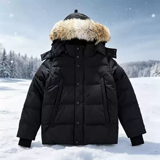 Wyndhaw Goose down Jacket 29 Styles Men's and Women's Parka with Hood and Wolf Fur Collar Thickened Coat