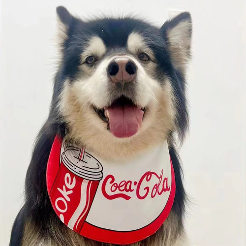 狗狗金毛边牧萨摩拉布外出口水巾夏季新款可爱中大型犬宠物围兜 - 图0