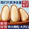 Wholesale of New Northeastern Pine Nuts with Large Kernels, Loose-Packed Pine Nuts, Roasted Nuts, Snacks for Pregnant Women