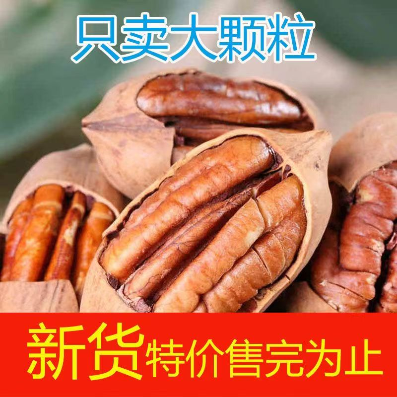 New Arrival Pecan Large Particles Creamy Longevity Dried Nuts Nuts New Year Snacks Including Packaging Wholesale