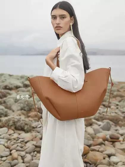 French Niche Polene Bucket Tote Bag Women's Bag New Armpit Large Capacity Shopping Bag Wings Bag