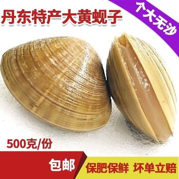 Dandong Yellow Clams Without Sand, Donggang-Produced 2kg Yellow Clams Without Sand, Free Shipping Nationwide