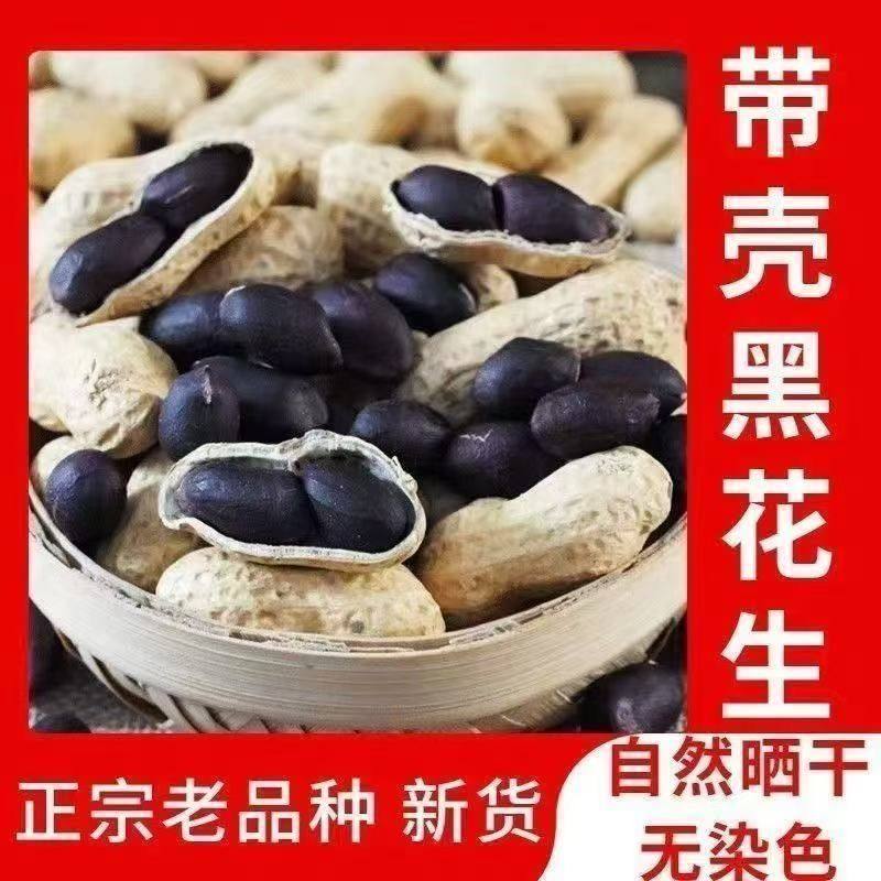 2025 New Selenium-Rich Black-Skinned Peanuts, Black Peanuts, Pure Black Raw Shelled, High-Quality Seeds, Specialty Products, Free Shipping