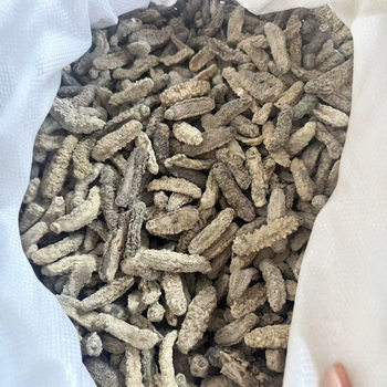 Wholesale Channel of Top-Quality Light-Dried Yellow Ginseng and White Jade Ginseng from the Philippines, Specially Designed for Soaking with an Exceptionally High Soaking Rate