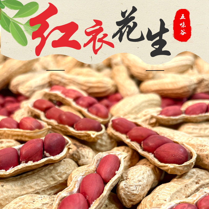 Northeast Red-Skinned Peanuts, 25 Years Old, Farm-Fresh, Shelled, Raw and Cooked, Four Red Peanuts, Self-Grown, Sun-Dried, Roasted, Original Flavor