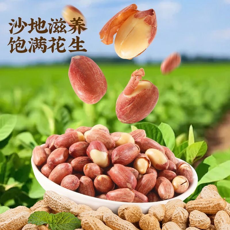 Astragalus Codonopsis Five-Spice Roasted Peanuts with a Crispy Texture, Individually Packaged, Simple and Convenient as a Snack to Accompany Drinks