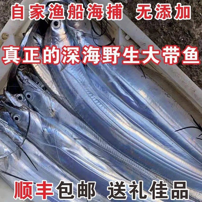 Sf Express Free Shipping 0.5-1.5kg / Extra Large Hairtail, Large Hairtail, East China Sea Hairtail, Fresh and Wild Hairtail