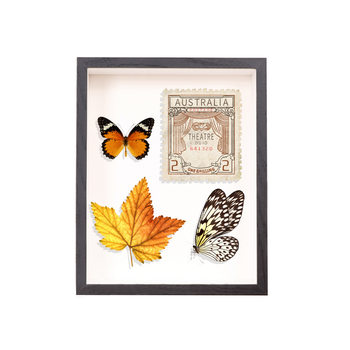 Creative DIY Dried Flower Butterfly Specimen Frame Hollow 3cm Photo Frame Dried Flower Doll Decorative Frame Display Stand Girl Gift