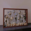 Wooden Photo Frame Specimen Frame Double-Sided Transparent Three-Dimensional Hollow Dried Flower Display Stand Creative DIY Animal and Plant Display Frame
