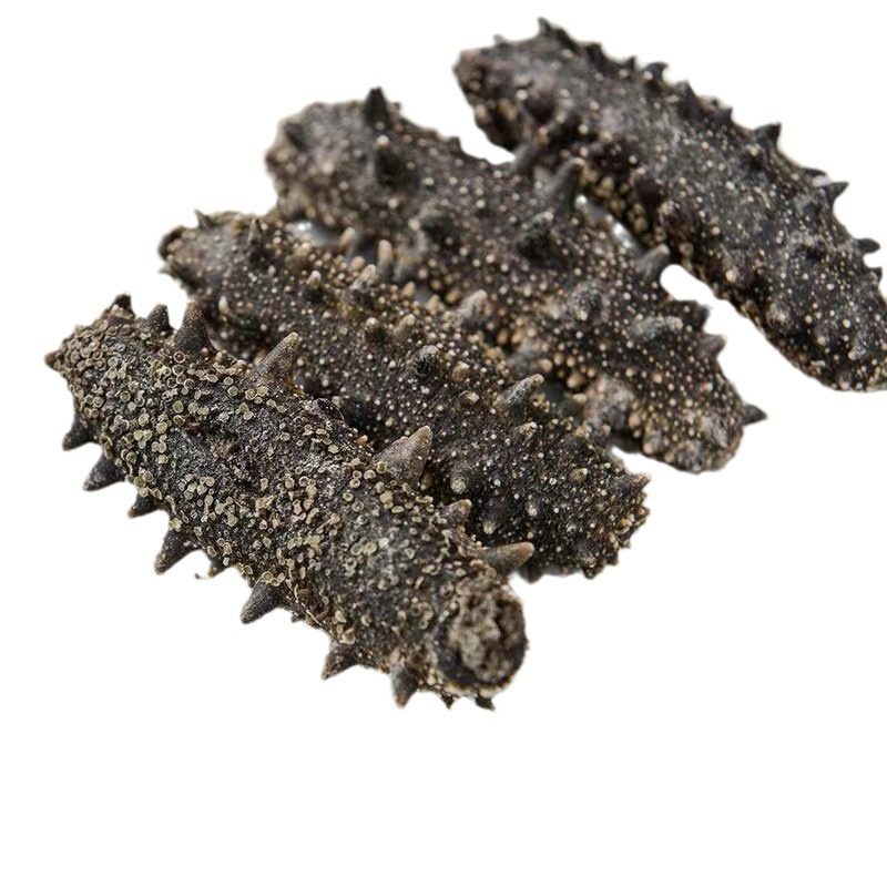 Tracing to the source of Dalian light dry sea cucumber gift box wholesale sea cucumber dry sea cucumber source manufacturers wholesale on behalf