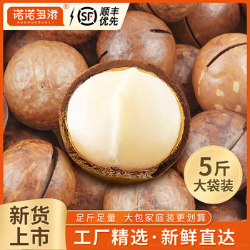 Macadamia Nuts Whole Box 2.5kg New Arrival Creamy Original Dried Fruits Wholesale