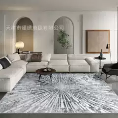 Cross-border Nordic Light Luxury Living Room Full Large Carpet Simple Line Bedroom Bedside Blanket Amazon Hair Bedside Blanket