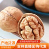 Xinjiang Paper-Skinned Open Cooked Walnuts Wholesale Delivery 500g Hand-Peeled Salt and Pepper Five-Spice Herbal Flavor Thin-Skinned Cooked Walnuts