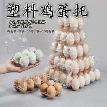 Egg Tray 4 Pieces Disposable 12 Pieces Plastic Box 4 Pieces Egg Tray 10 Pieces Plastic