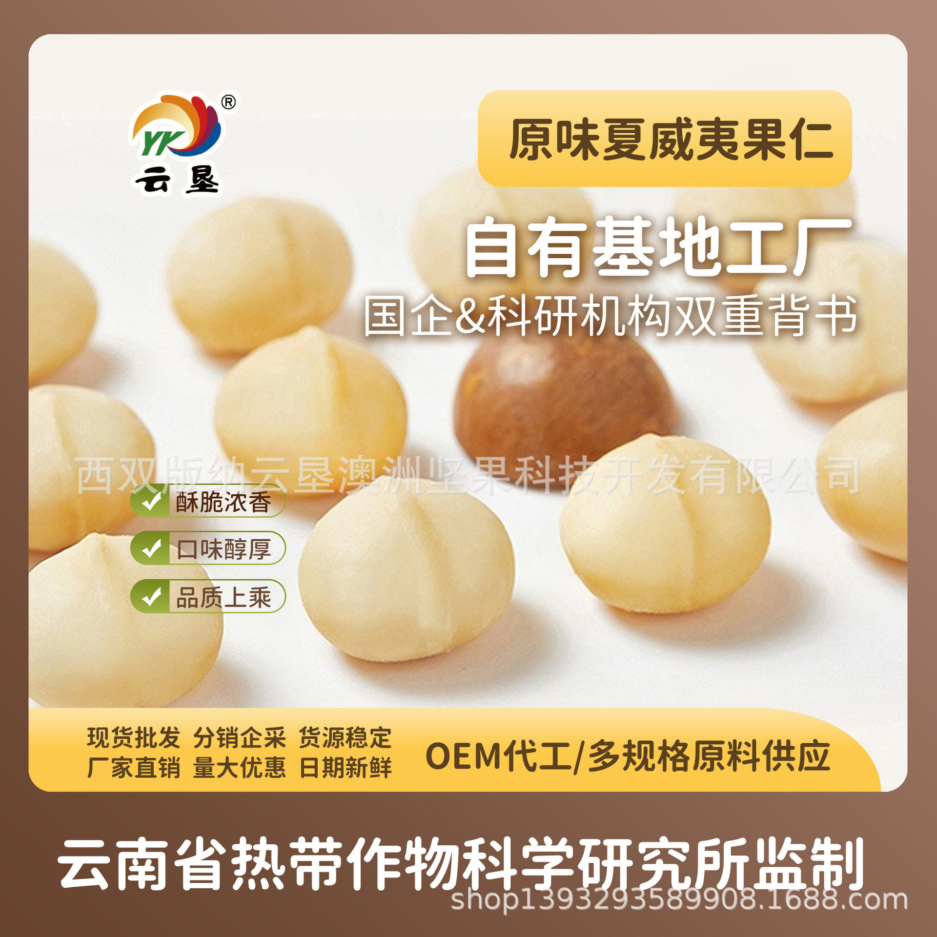 Yunken Macadamia Nut Half Kernel 5kg Minimum Order Oem Custom Bulk Raw Material Wholesale Large Quantity Excellent Price