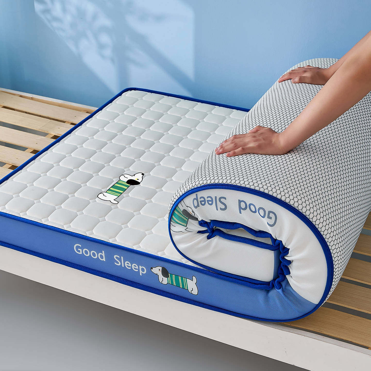 2025 New Thickeneded Milk Silk Single and Double Mattress Latex Memory Foam Mattress Rental Student Dormitory Mattress