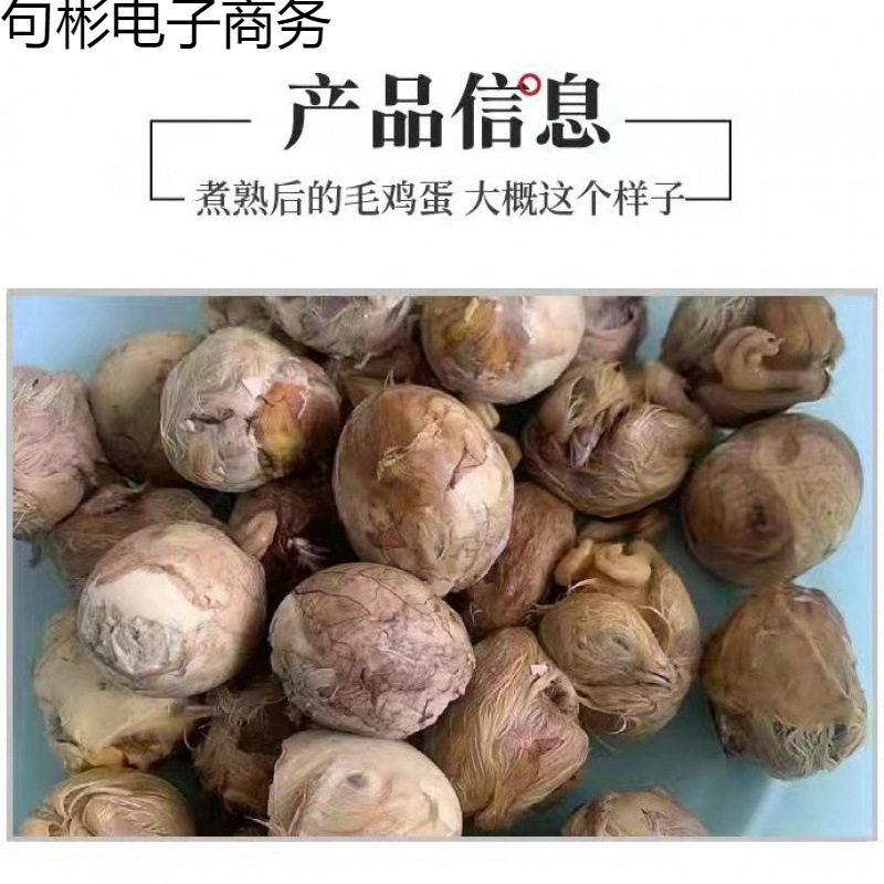 Fresh Raw Chicken Eggs, Half Chicken and Half Egg Options Available, 15 to 20 Days Old Raw Chicken Eggs, Embryo Eggs, Whole Raw Chicken Eggs for Barbecue or Frying