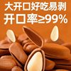 2025 New Large-Sized Cracked Pine Nuts from Northeast China, Pine Nut Snacks Wholesale, Roasted Nuts