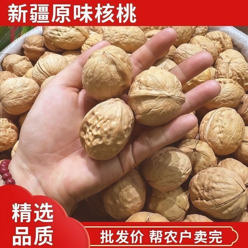 [New Walnut] Thin-Skinned Raw Walnuts, Thin-Shelled Xinjiang Sun-Dried Raw Walnuts, Dried Fruits and Nuts, Original Snacks
