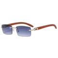 Silver Frame Gradual Gray