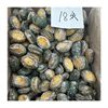 Customized Frozen Abalone Meat with Shell, Cooked Braised Abalone Dishes, Large Quantity Discount, Wholesale from Manufacturers