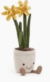 Narcissus