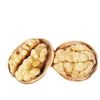 Wholesale Xinjiang paper walnut 185 paper walnut 500g skin thin nuts full hand pinch that open dried fruit snacks