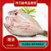 Sea Bass 700g Frozen Large Bass Open Back Marinated Seafood Fresh Aquatic Products Barbecue Braised Dry Pot Hunan Cuisine Ingredients