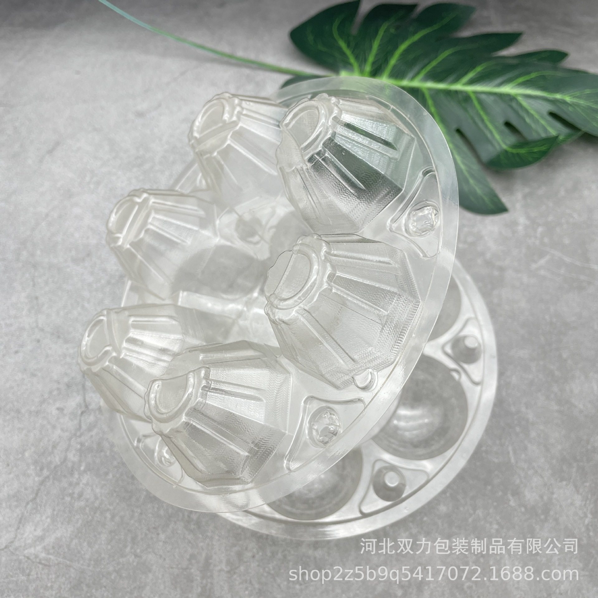 Egg tray 6 round pet disc egg tray box blister technology thickened egg tray manufacturers wholesale