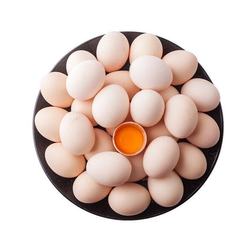 Free-Range Eggs with Cordyceps, Whole Box of Farm-Fresh Eggs, Nutritious for Postpartum Care, 20 Grains