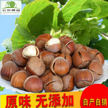 Best Hazelnut Northeast Hazelnut Open Cooked New Original Flavor Bag 500g Pingou Large Hazelnut Nuts Wholesale