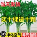 seller product image