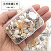 Boxed Natural Shell Small Conch Small Starfish Mixed Material Bag Handmade DIY Jewelry Aromatherapy Candle Wax Pieces