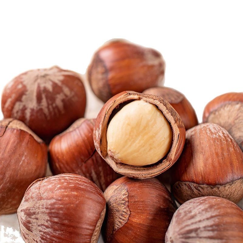 New Arrival Hazelnut Northeast Thin-Skinned Fried Milk Flavor Wholesale Price Canned 500g Nuts and Dried Fruit Snacks Specialty 250g