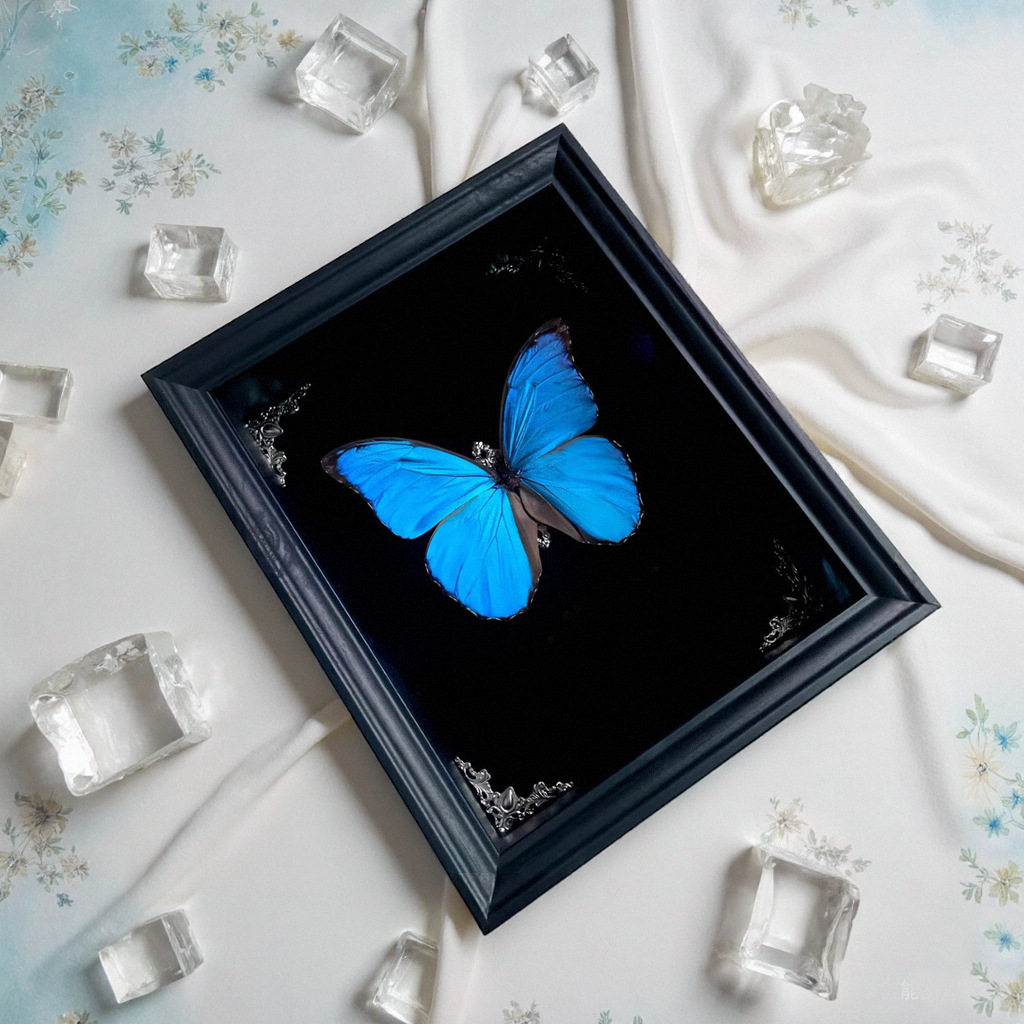 New Real Glass Hollow 2.2 Butterfly Specimen Photo Frame Creative Tabletop Decorative Picture Frame European Simple Style Ornament