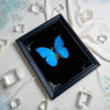 New Real Glass Hollow 2.2 Butterfly Specimen Photo Frame Creative Tabletop Decorative Picture Frame European Simple Style Ornament