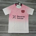 25-26 leverkusen away game